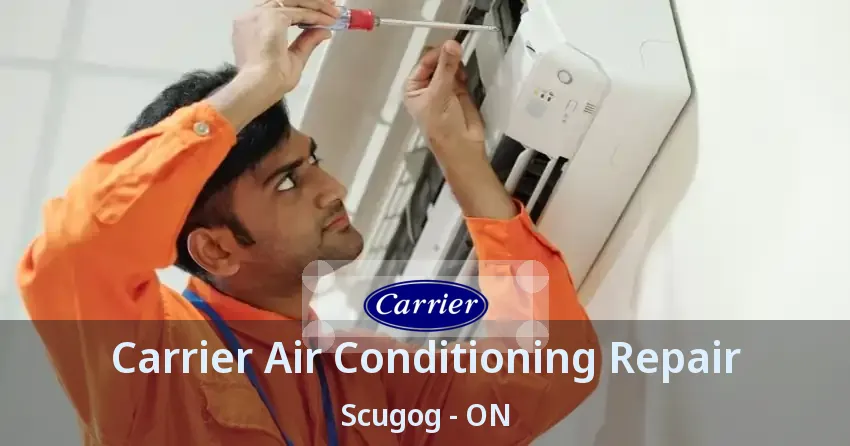 Carrier Air Conditioning Repair Scugog - ON