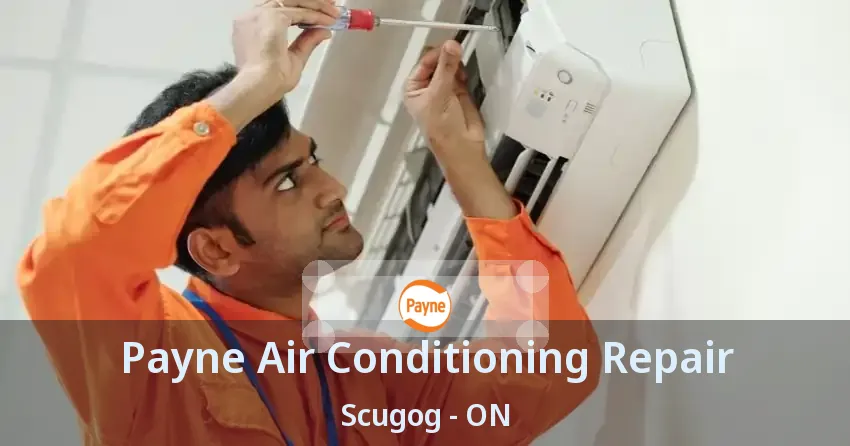Payne Air Conditioning Repair Scugog - ON