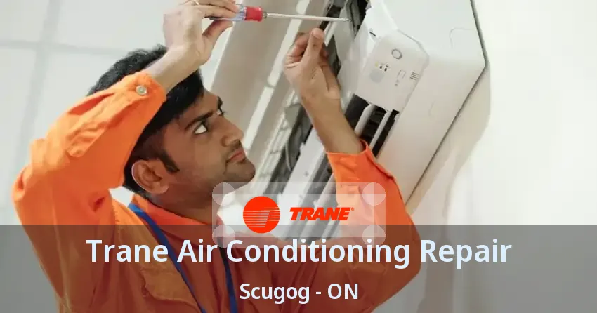 Trane Air Conditioning Repair Scugog - ON