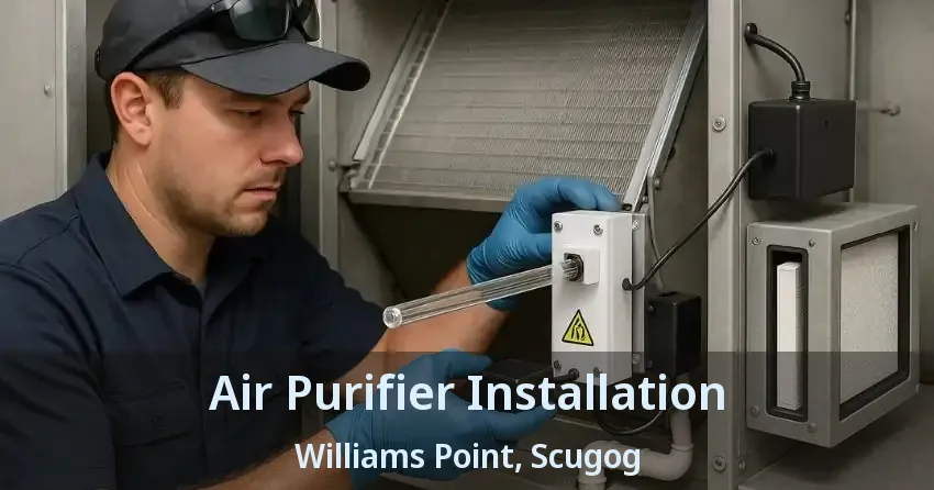 Air Purifier Installation Williams Point, Scugog - ON