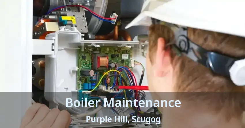 Boiler Maintenance Purple Hill, Scugog - ON