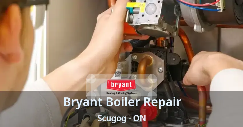 Bryant Boiler Repair Scugog - ON