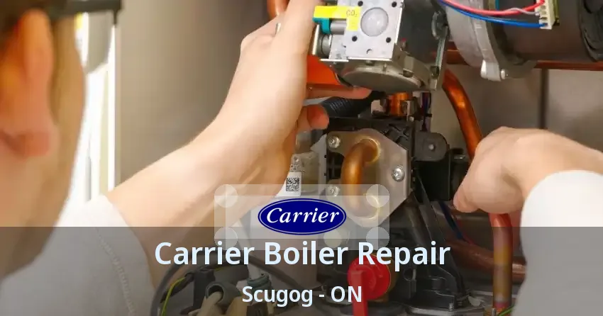 Carrier Boiler Repair Scugog - ON