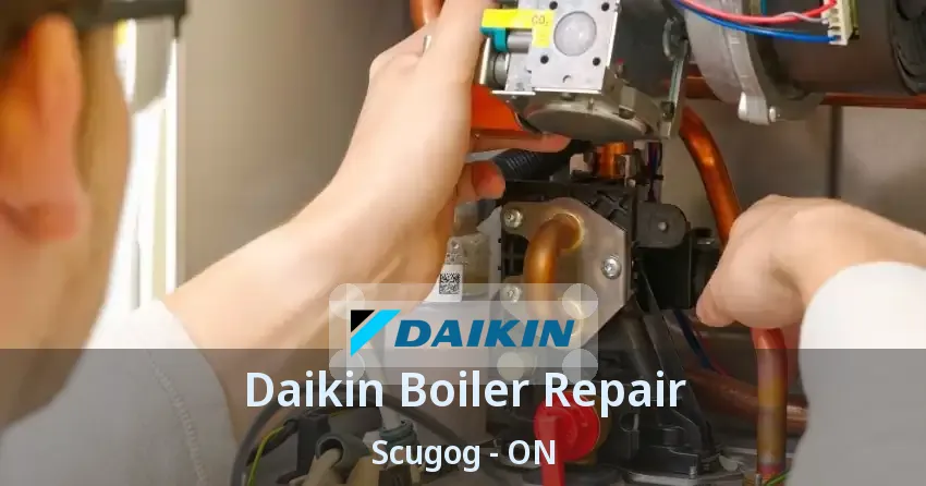 Daikin Boiler Repair Scugog - ON