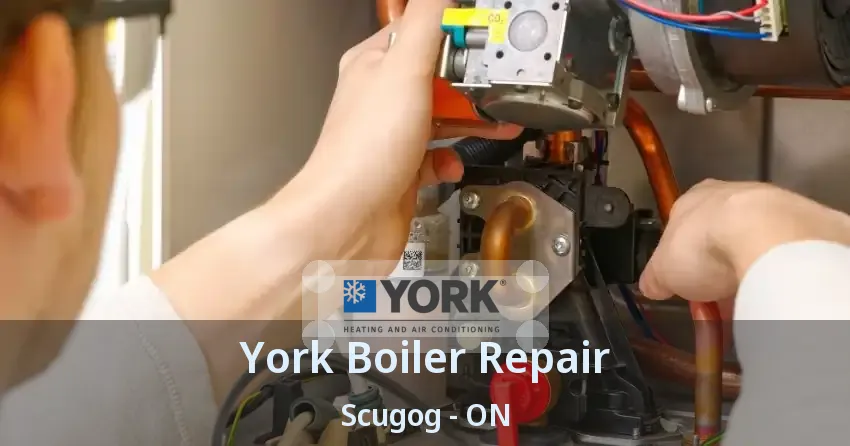 York Boiler Repair Scugog - ON