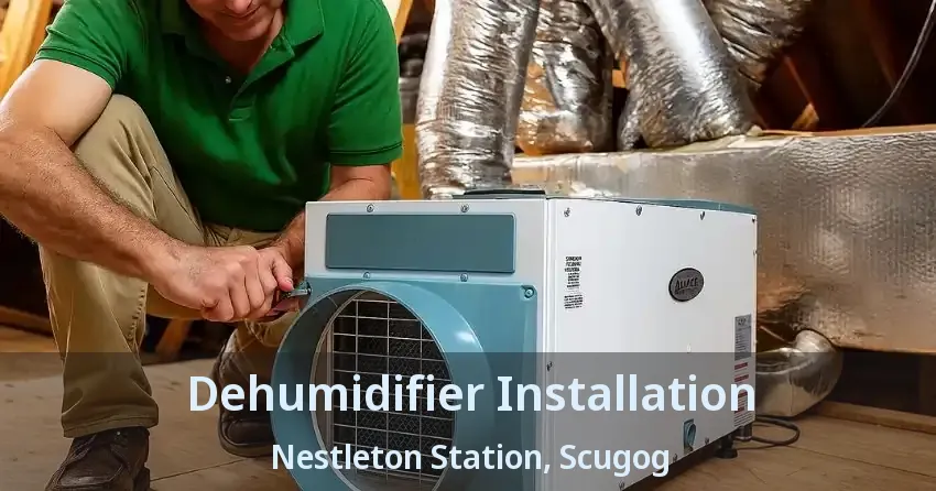Dehumidifier Installation Nestleton Station, Scugog - ON