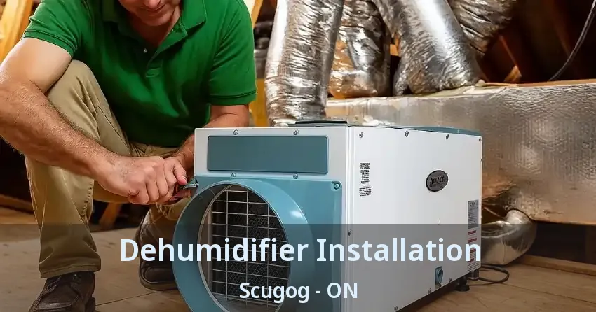 Dehumidifier Installation Scugog - ON
