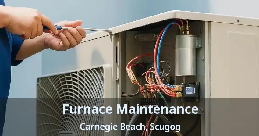Furnace Maintenance Carnegie Beach, Scugog - ON