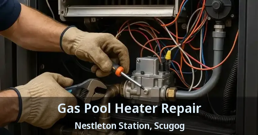 Gas Pool Heater Repair Nestleton Station, Scugog - ON
