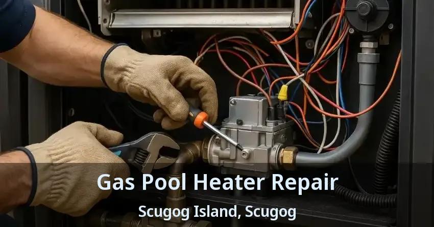 Gas Pool Heater Repair Scugog Island, Scugog - ON