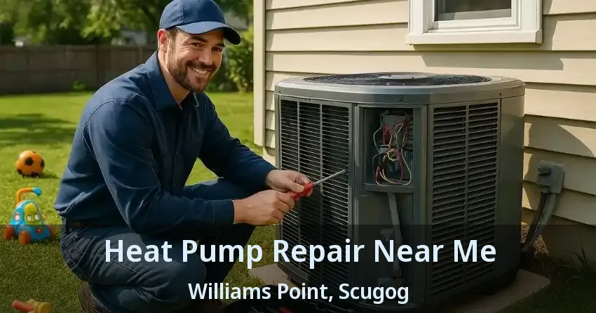 Heat Pump Repair Near Me Williams Point, Scugog - ON