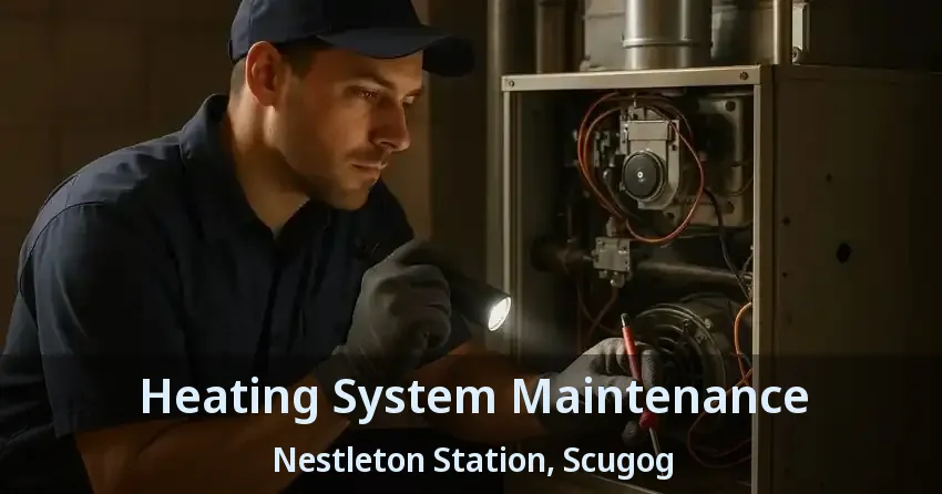 Heating System Maintenance Nestleton Station, Scugog - ON