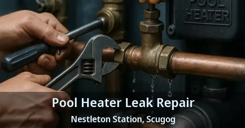 Pool Heater Leak Repair Nestleton Station, Scugog - ON
