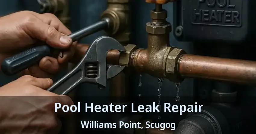 Pool Heater Leak Repair Williams Point, Scugog - ON