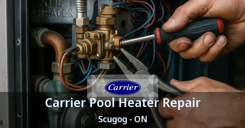 Carrier Pool Heater Repair Scugog - ON