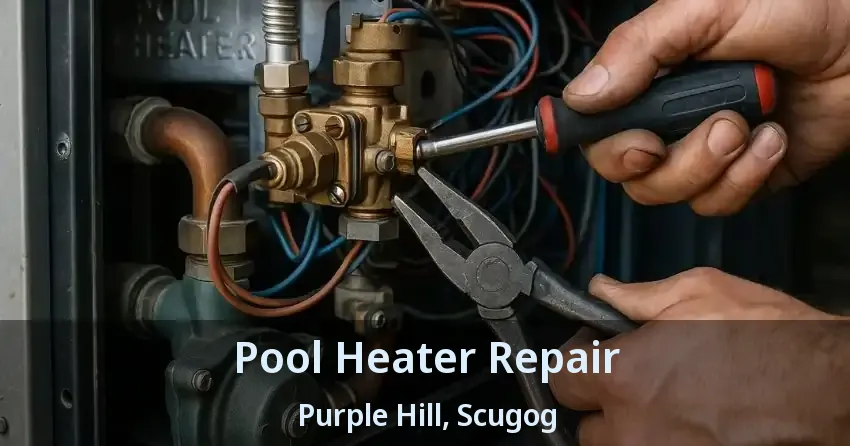 Pool Heater Repair Purple Hill, Scugog - ON