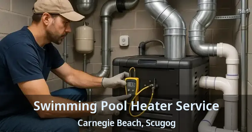 Swimming Pool Heater Service Carnegie Beach, Scugog - ON